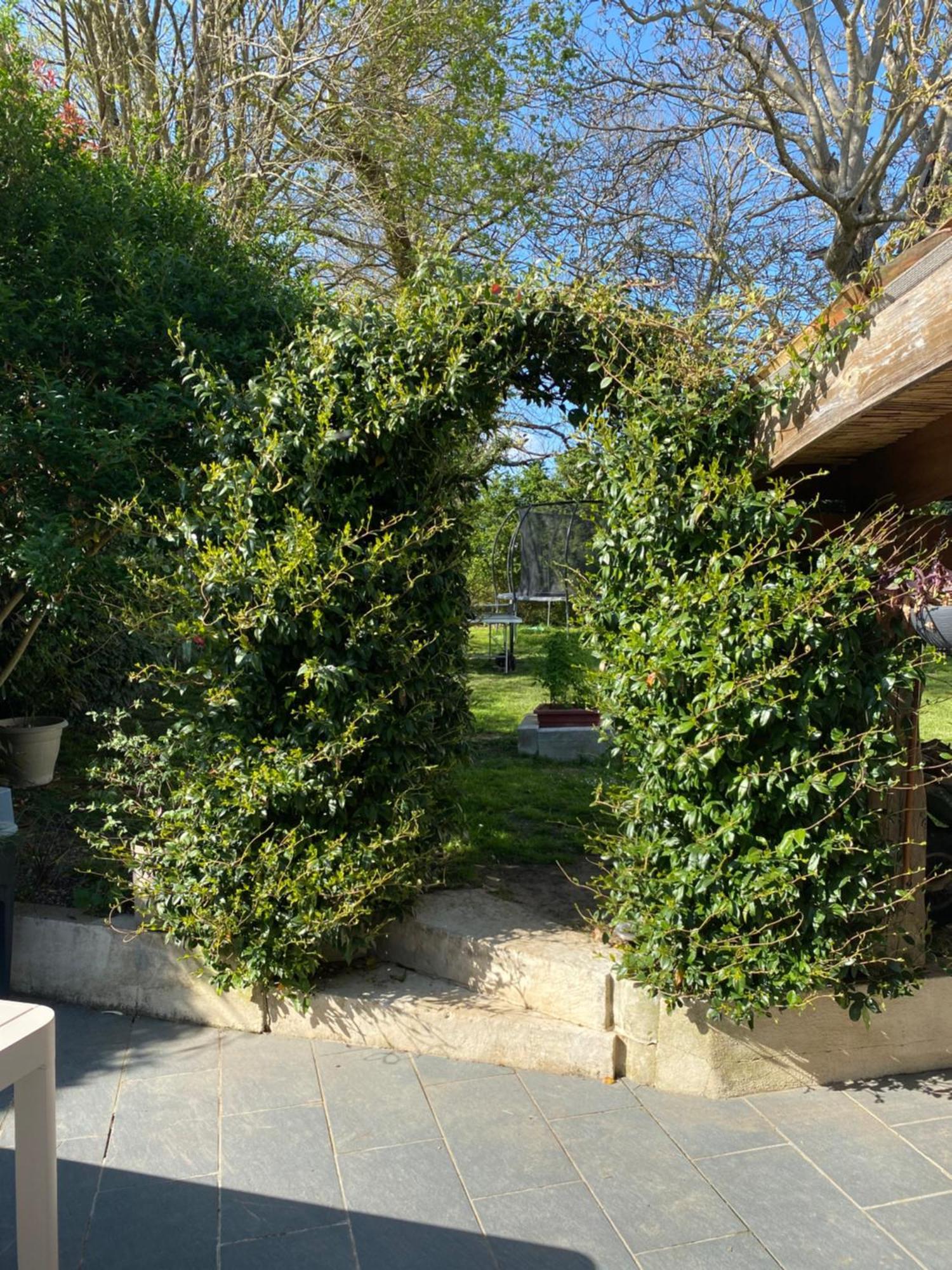 Les 5 Timbres Villa Montpellier-de-Medillan ภายนอก รูปภาพ
